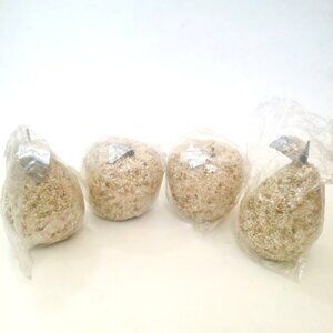 Natural Sea Shell Beaded Faux Fruit-4 Apples & Pears